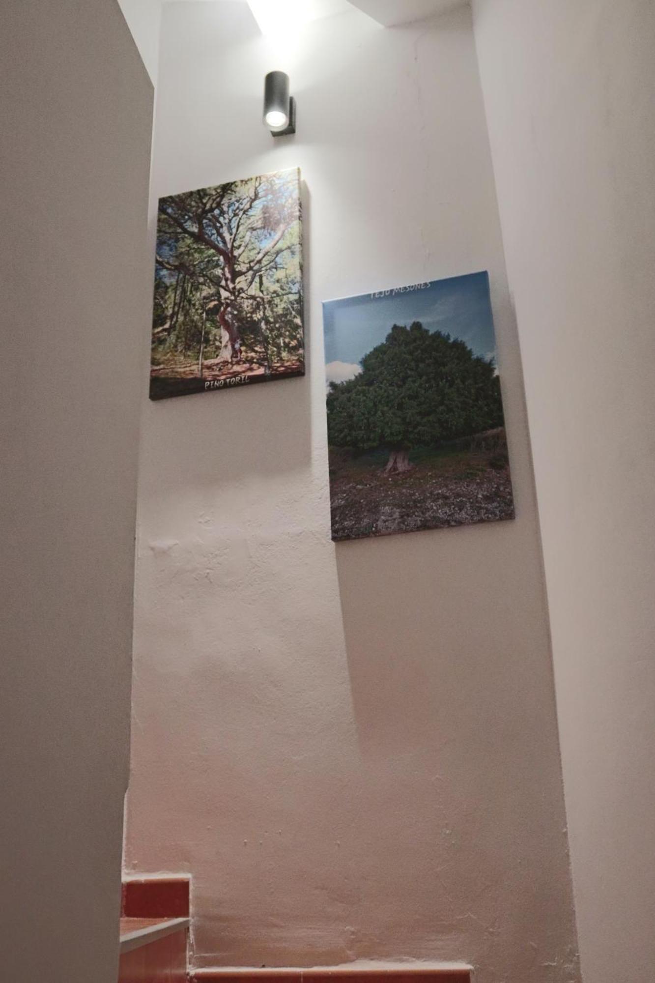 Willa Casa 25 Riópar Zewnętrze zdjęcie